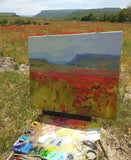 Poppy Field