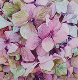 Tenderness of summer