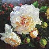 Peonies