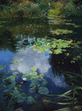 Water Lilies In The Pond